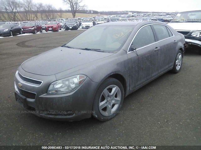 1G1ZB5EB4AF115023 - 2010 CHEVROLET MALIBU LS თაფლისფერი ფოტო 2