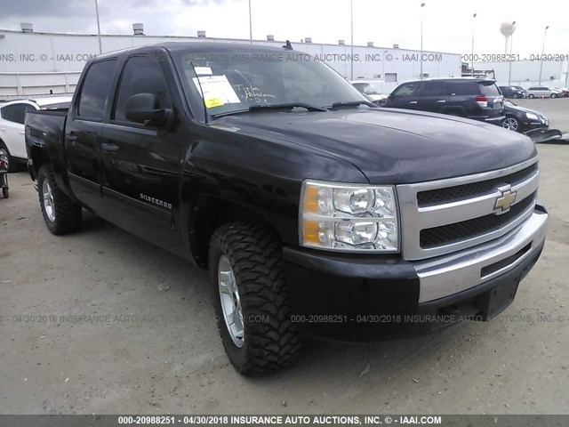 3GCEK23379G290795 - 2009 CHEVROLET SILVERADO K1500 LT BLACK photo 1