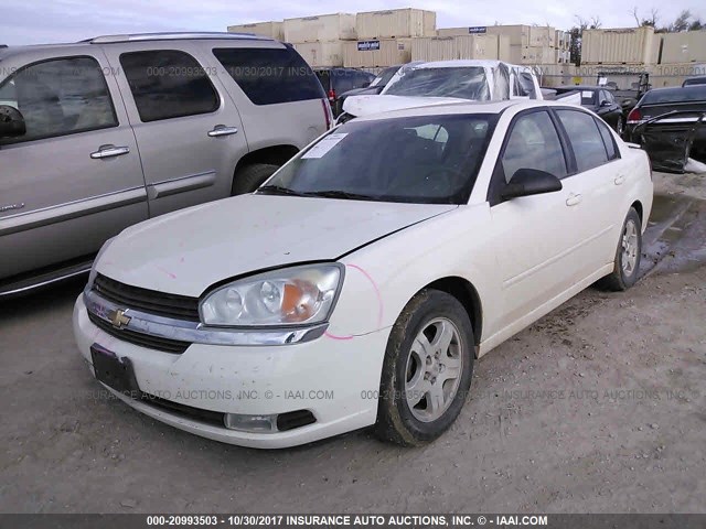 1G1ZU54824F173412 - 2004 CHEVROLET MALIBU LT WHITE photo 2