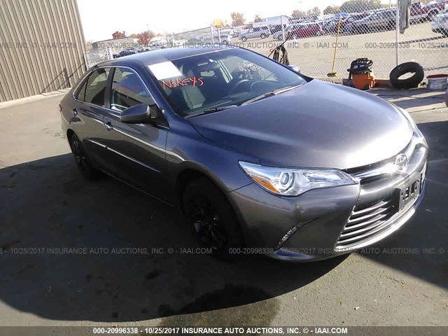 4T4BF1FK9GR564093 - 2016 TOYOTA CAMRY LE/XLE/SE/XSE GRAY photo 1