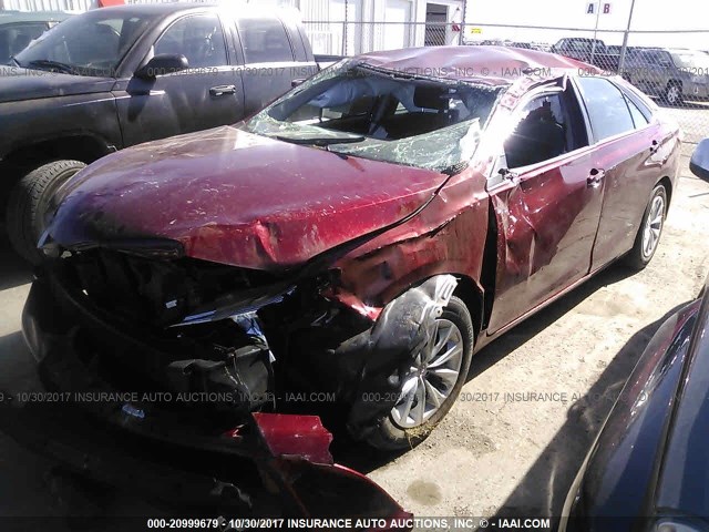 4T1BF1FK5FU900606 - 2015 TOYOTA CAMRY LE/XLE/SE/XSE MAROON photo 2