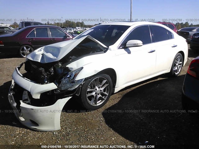 1N4AA5AP8BC835703 - 2011 NISSAN MAXIMA S/SV WHITE photo 2