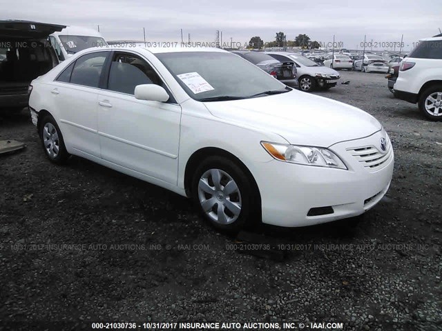 4T1BE46K89U909499 - 2009 TOYOTA CAMRY SE/LE/XLE WHITE photo 1