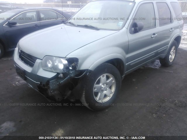 1FMCU94196KA12794 - 2006 FORD ESCAPE LIMITED GREEN photo 6