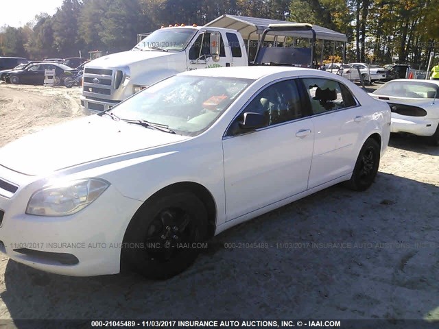 1G1ZB5E12BF205280 - 2011 CHEVROLET MALIBU LS Ağ foto 2
