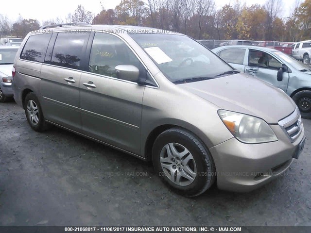 5FNRL38745B055660 - 2005 HONDA ODYSSEY EXL ოქროსფერი ფოტო 1