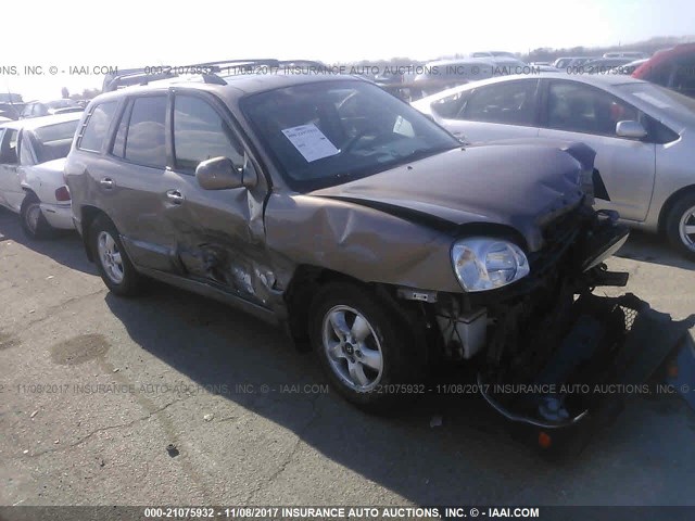 KM8SC73D35U964854 - 2005 HYUNDAI SANTA FE GLS/LX BROWN photo 1