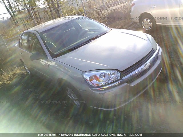 1G1ZT52844F234975 - 2004 CHEVROLET MALIBU LS თაფლისფერი ფოტო 1