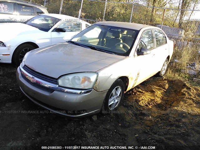 1G1ZT52844F234975 - 2004 CHEVROLET MALIBU LS თაფლისფერი ფოტო 2