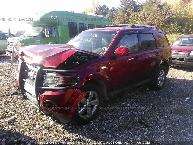 1FMCU94G79KA03696 - 2009 FORD ESCAPE LIMITED MAROON photo 2