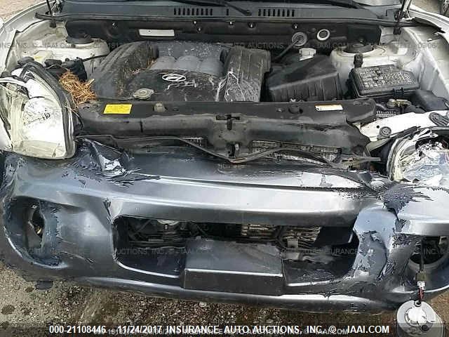 KM8SC13D35U884399 - 2005 HYUNDAI SANTA FE GLS/LX SILVER photo 10