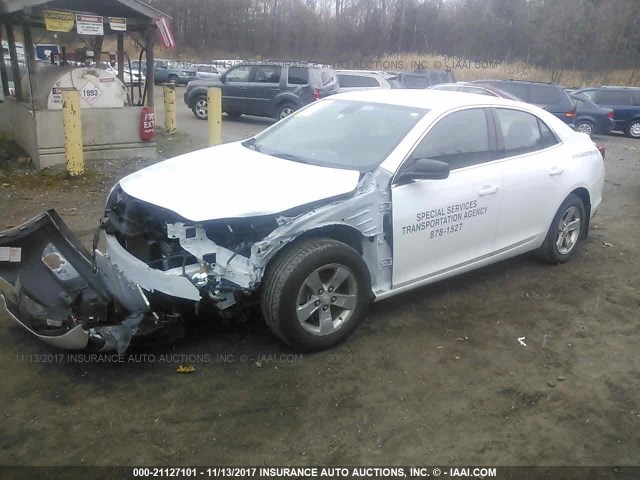 1G11A5SL0FF292740 - 2015 CHEVROLET MALIBU LS თეთრი ფოტო 2