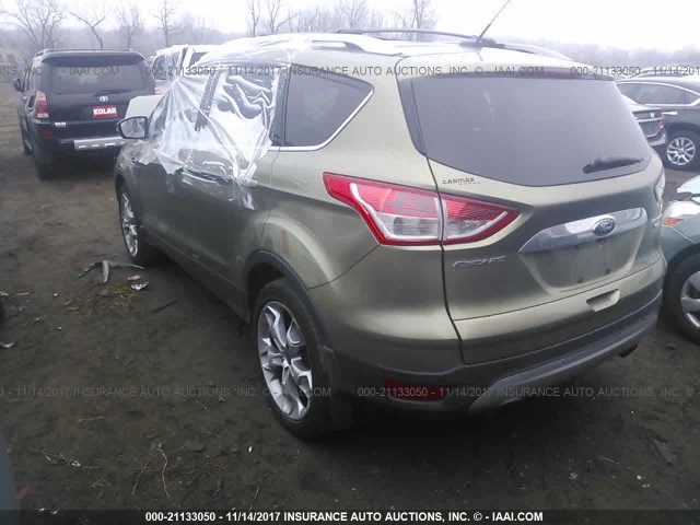 1FMCU9J94EUA22372 - 2014 FORD ESCAPE TITANIUM GREEN photo 3