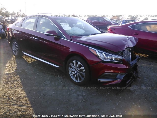 5NPE34AFXFH142066 - 2015 HYUNDAI SONATA SPORT/LIMITED RED photo 1