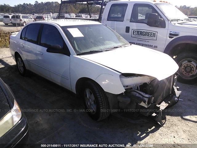 1G1ZT54835F209256 - 2005 CHEVROLET MALIBU LS თეთრი ფოტო 1