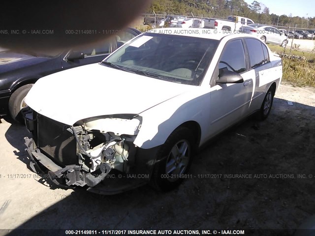 1G1ZT54835F209256 - 2005 CHEVROLET MALIBU LS თეთრი ფოტო 2