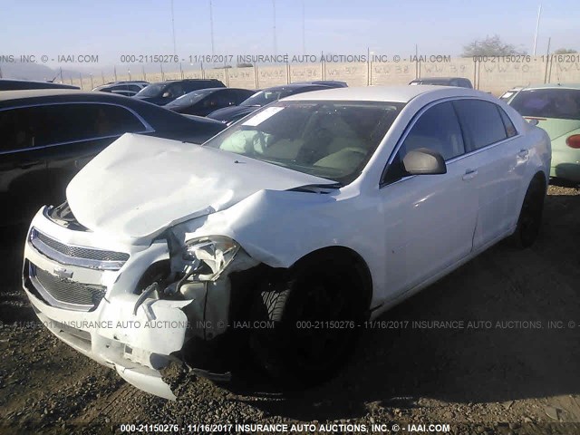 1G1ZA5EB8AF173039 - 2010 CHEVROLET MALIBU LS WHITE photo 2