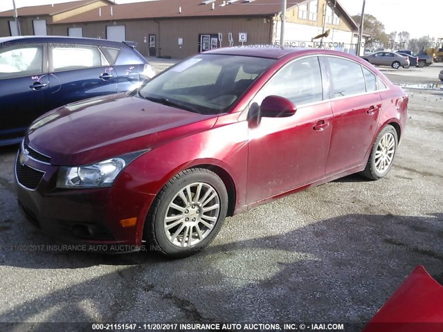 1G1PK5S9XB7258370 - 2011 CHEVROLET CRUZE ECO RED photo 2