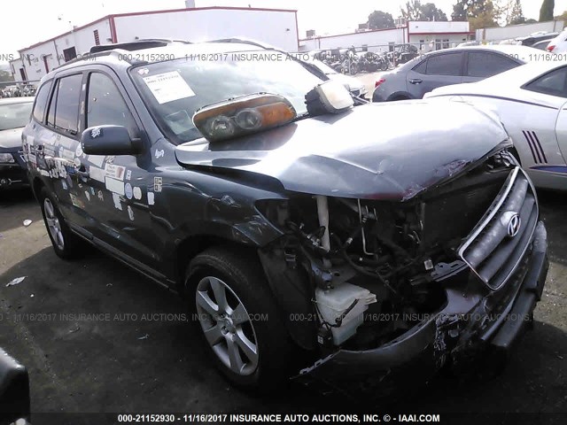 5NMSH13E87H030694 - 2007 HYUNDAI SANTA FE SE/LIMITED GRAY photo 1