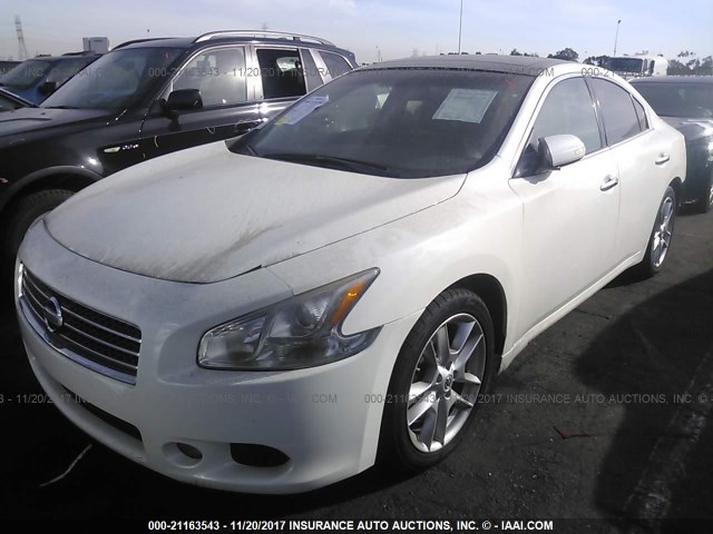 1N4AA5AP8BC829285 - 2011 NISSAN MAXIMA S/SV WHITE photo 2