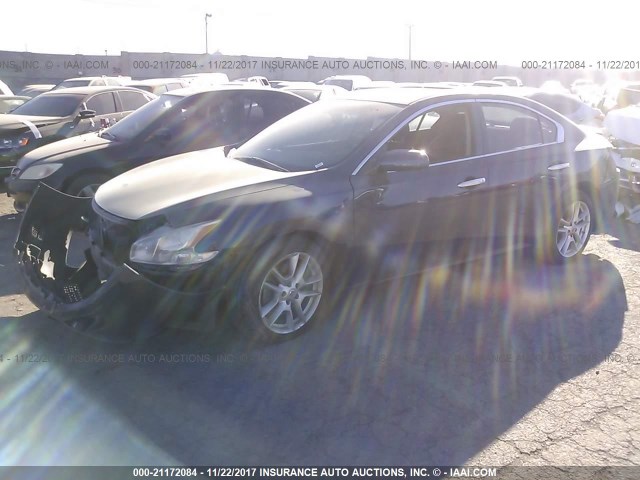 1N4AA5APXAC820618 - 2010 NISSAN MAXIMA S/SV BLUE photo 2