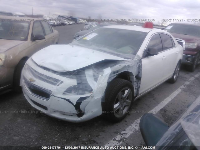 1G1ZA5EU4CF305122 - 2012 CHEVROLET MALIBU LS თეთრი ფოტო 2
