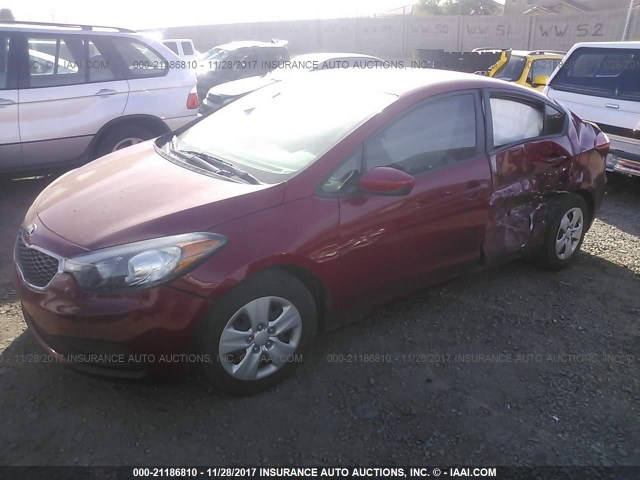 KNAFK4A67G5481129 - 2016 KIA FORTE LX RED photo 2