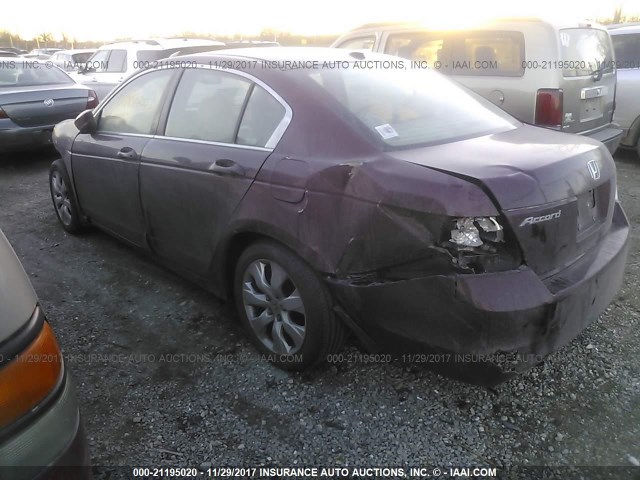 1HGCP26878A109497 - 2008 HONDA ACCORD EXL BURGUNDY photo 3