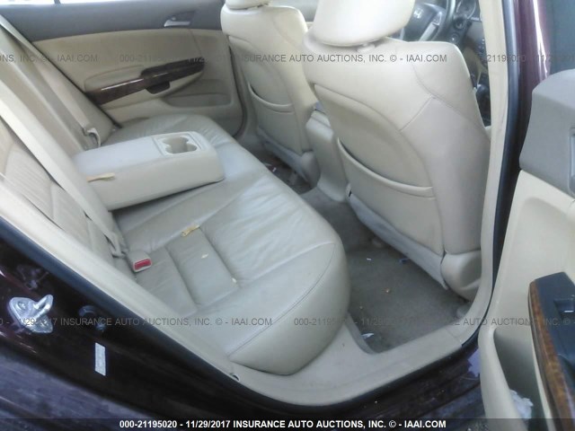 1HGCP26878A109497 - 2008 HONDA ACCORD EXL BURGUNDY photo 8