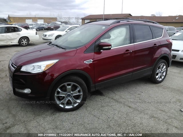 1FMCU9H99DUA27345 - 2013 FORD ESCAPE SEL BURGUNDY photo 2