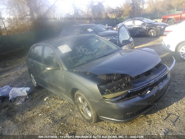 1G1ZT64865F100182 - 2005 CHEVROLET MALIBU MAXX LS 灰色 照片 1