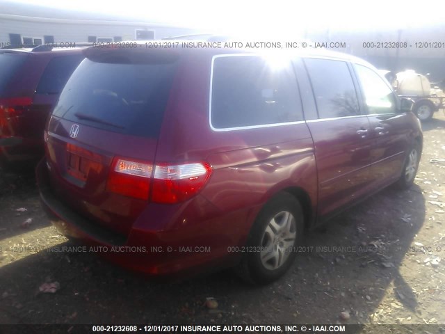 5FNRL38736B416667 - 2006 HONDA ODYSSEY EXL წითელი ფოტო 4