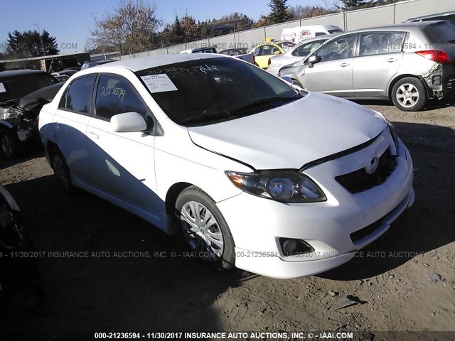 1NXBU40E69Z042934 - 2009 TOYOTA COROLLA S/LE/XLE WHITE photo 1