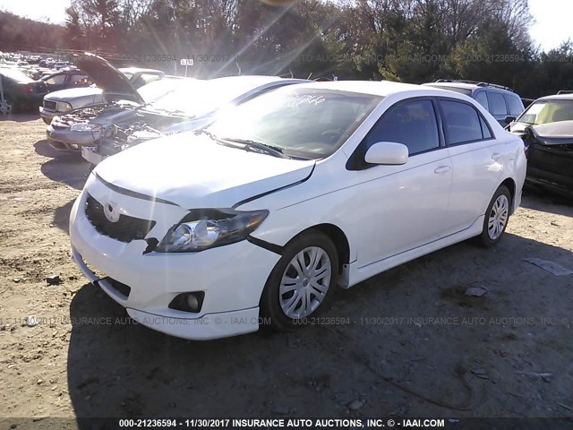 1NXBU40E69Z042934 - 2009 TOYOTA COROLLA S/LE/XLE WHITE photo 2