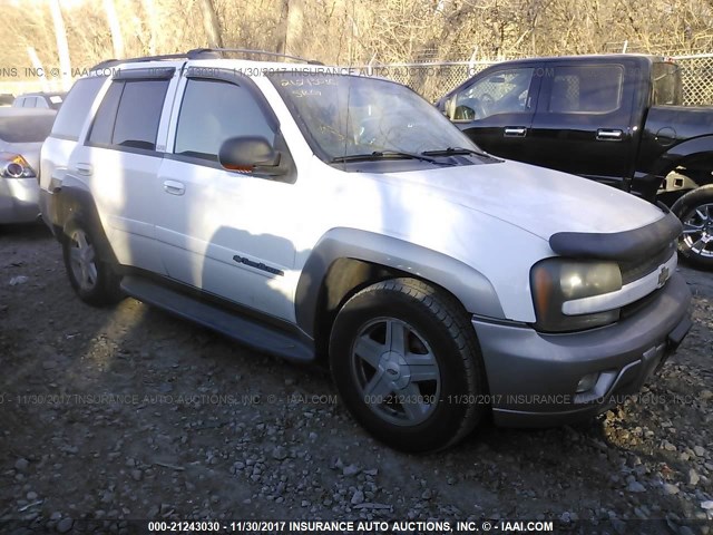 1GNDT13S522485309 - 2002 CHEVROLET TRAILBLAZER  WHITE photo 1