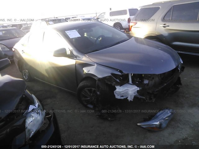 4T1BF1FKXHU454035 - 2017 TOYOTA CAMRY LE/XLE/SE/XSE GRAY photo 1