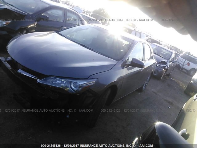 4T1BF1FKXHU454035 - 2017 TOYOTA CAMRY LE/XLE/SE/XSE GRAY photo 2
