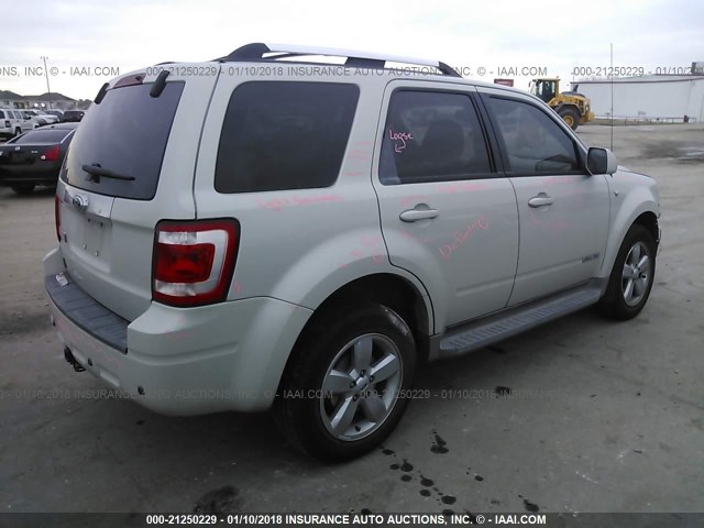 1FMCU04138KE77795 - 2008 FORD ESCAPE LIMITED CREAM photo 4