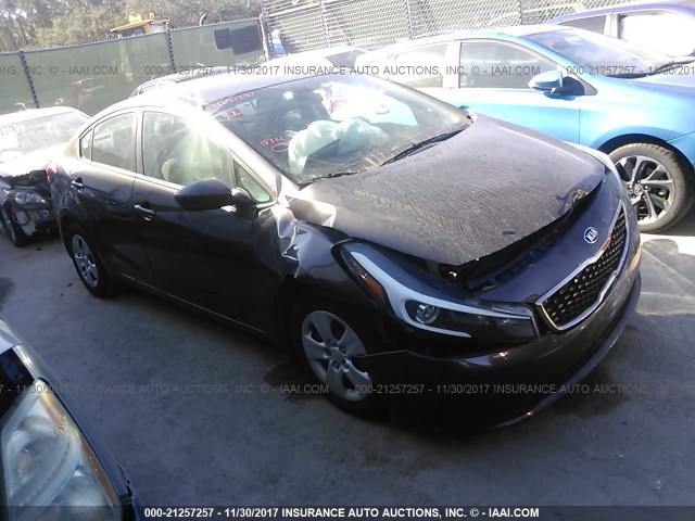 3KPFL4A72HE067870 - 2017 KIA FORTE LX/S BROWN photo 1