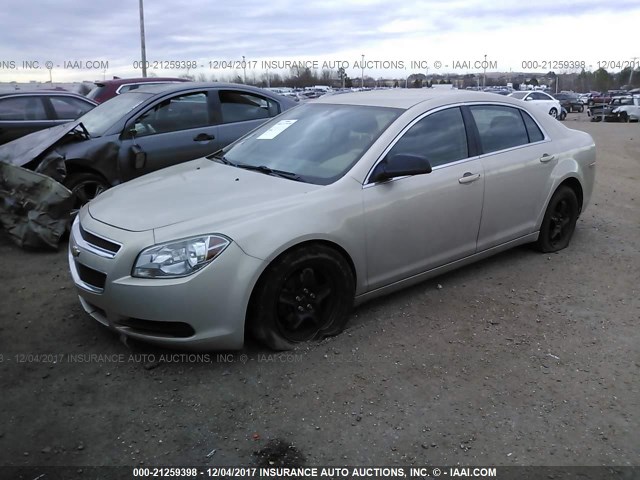 1G1ZA5EU8BF304196 - 2011 CHEVROLET MALIBU LS ოქროსფერი ფოტო 2
