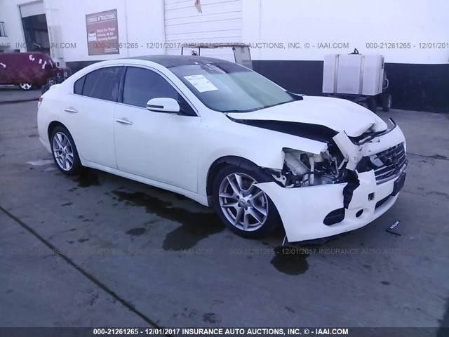 1N4AA5AP6AC819370 - 2010 NISSAN MAXIMA S/SV WHITE photo 1