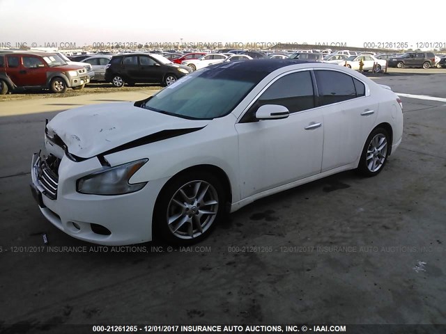 1N4AA5AP6AC819370 - 2010 NISSAN MAXIMA S/SV WHITE photo 2