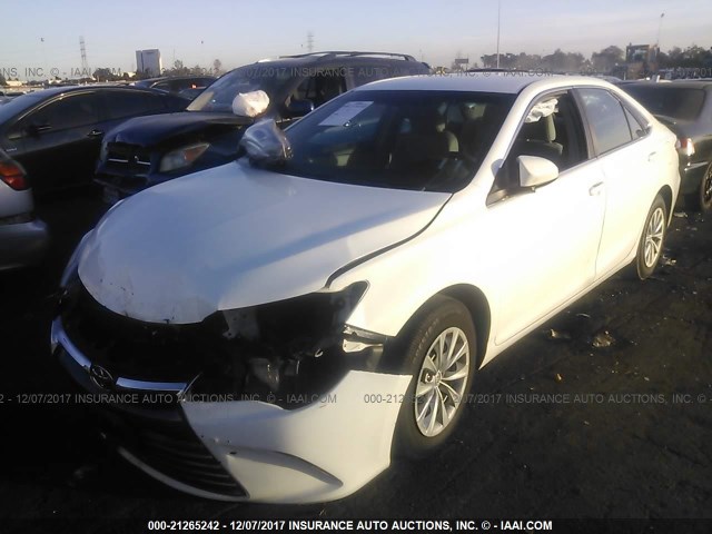 4T4BF1FK2GR547782 - 2016 TOYOTA CAMRY LE/XLE/SE/XSE WHITE photo 2