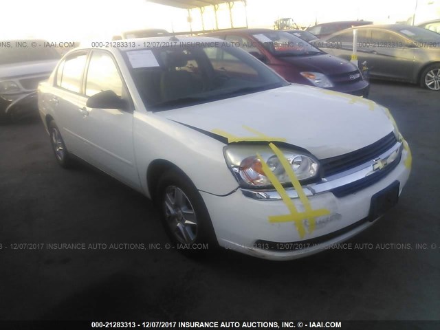1G1ZT54854F120058 - 2004 CHEVROLET MALIBU LS Ağ foto 1