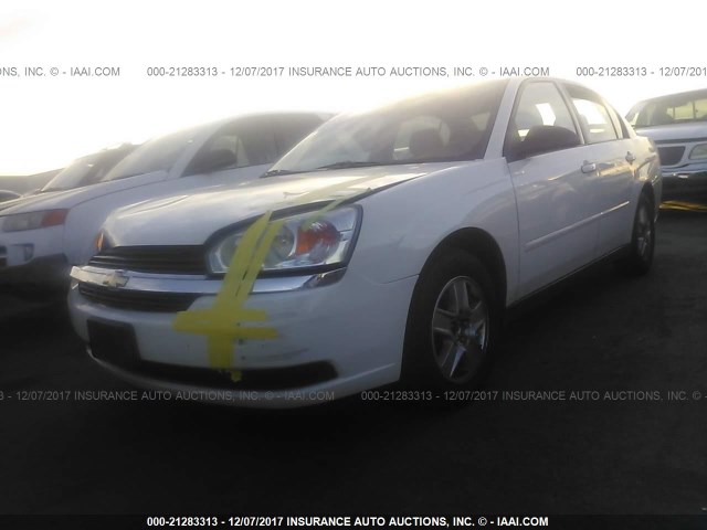 1G1ZT54854F120058 - 2004 CHEVROLET MALIBU LS Ağ foto 2