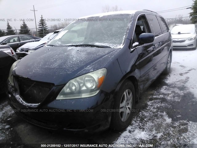 5FNRL38795B126948 - 2005 HONDA ODYSSEY EXL ლურჯი ფოტო 2