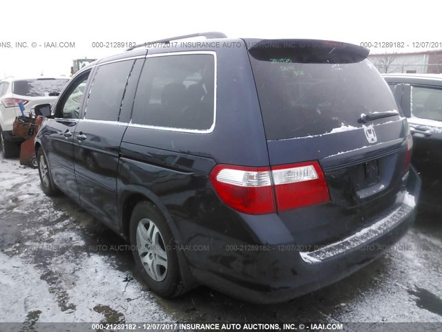 5FNRL38795B126948 - 2005 HONDA ODYSSEY EXL ლურჯი ფოტო 3