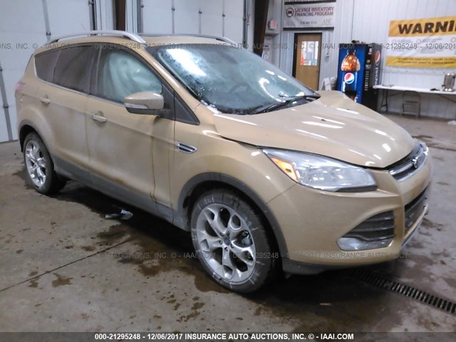 1FMCU9J9XEUD87641 - 2014 FORD ESCAPE TITANIUM GOLD photo 1