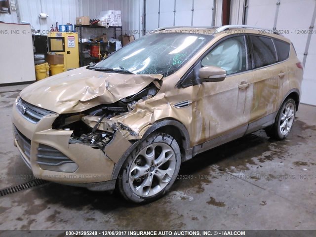 1FMCU9J9XEUD87641 - 2014 FORD ESCAPE TITANIUM GOLD photo 2