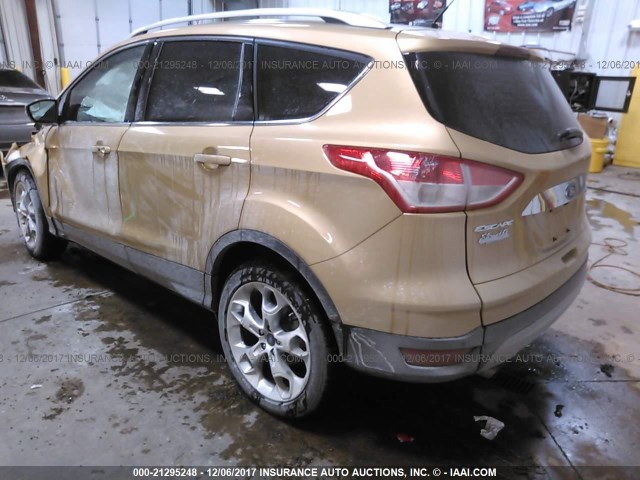 1FMCU9J9XEUD87641 - 2014 FORD ESCAPE TITANIUM GOLD photo 3